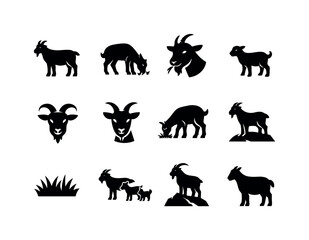 Fototapeta premium Grazing Goats Icons. Goats grazing. Solid icon set of Goats grazing: standing goat, grazing goat, goat chewing, baby goat, goat with horns, goat head, goat