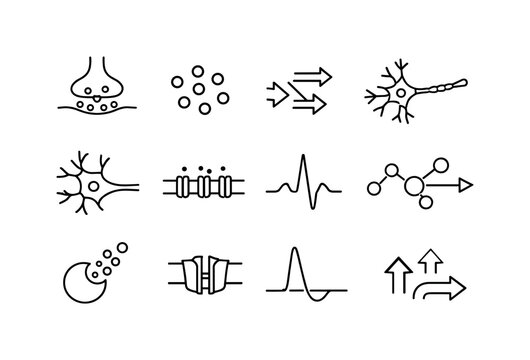 Neural Communication Icons. Neural Communication. Line icon set of Neural Communication: synapse diagram, neurotransmitter dots, signal arrow flow, presynaptic