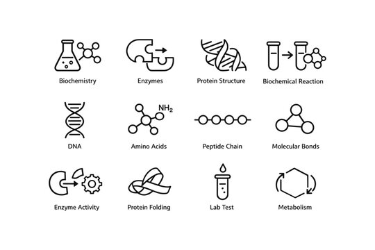 Biochemistry symbols: dna, enzymes, and protein structures explained