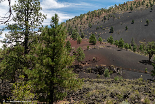 Sunset Crater