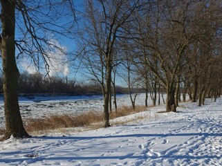 Snowy Winter Riverbank with Bare Trees Along the Missouri River © Lizard Avenue