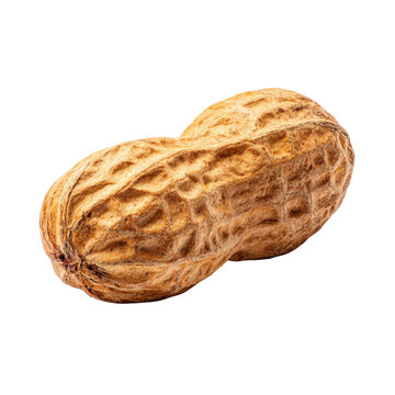 Two whole walnuts cracked open isolated on transparent background
