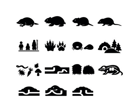 Mole Silhouette Icons. Mole comparison. Solid icon set of mole comparison: mole silhouette, gopher silhouette, vole silhouette, shrew silhouette, size scale,