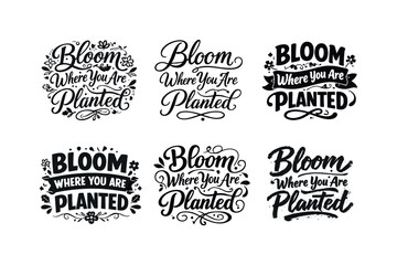 Fototapeta premium Artistic Lettering Grid. Bloom Where You Are Planted. Set lettering. harmonious lettering variations of the same emblematic concept, each with different
