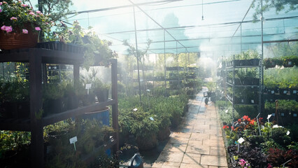 An automatic irrigation system at a garden center. Daily watering of seedlings in a greenhouse.