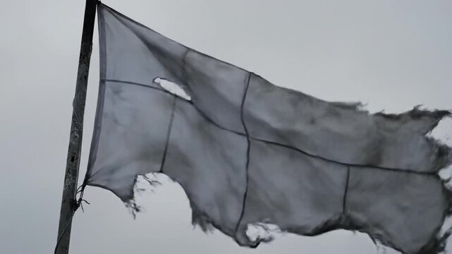 Tattered White Flag Blowing In Wind