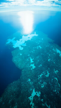 Aerial View Of Turquoise Coral Reef Beneath Open Ocean
