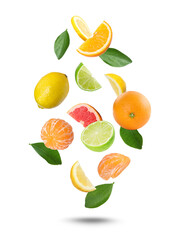 Different fresh citrus fruits falling on white background