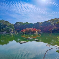 伝統的な日本庭園の秋、静寂な池と美しい秋雲の広がる景観