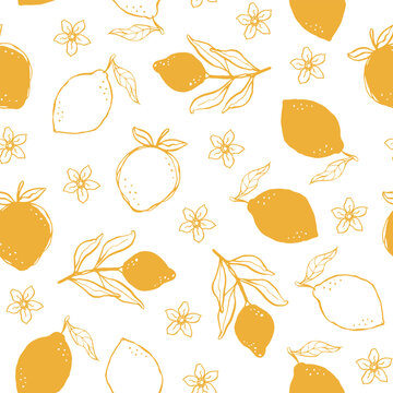 Hand drawn whimsical ink pattern with lemons and lemon flowers illustration in yellow color on white background