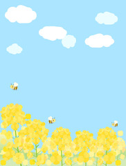 青空に映える菜の花畑をイメージしたイラスト　縦型バージョン