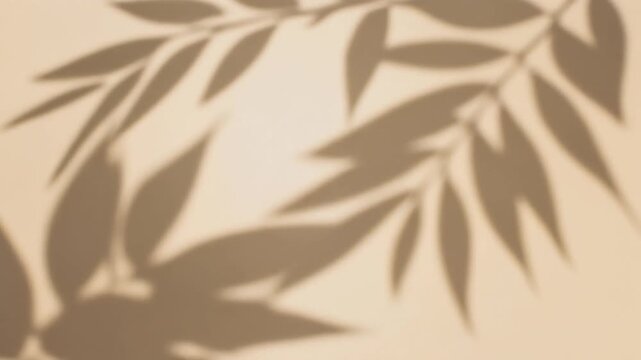 Abstract botanical motion video, leaf-like shadows moving with sunlight, airy composition