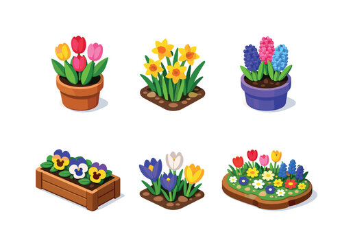Spring Garden Icons. Spring Garden Flowers. Isometric flat vector icons set of Spring Garden Flowers: blooming tulip pot, daffodil cluster, hyacinth flowers