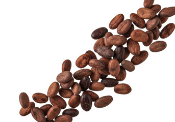 Obraz premium Numerous richly dark brown roasted cocoa beans falling and scattering in mid-air, against a pristine transparent studio background with negative space, appetizing chocolate advertising concept