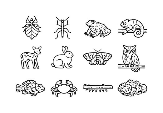 Nature's Camouflage Icons. Camouflage in Nature. Line icon set of Camouflage in Nature: leaf insect, stick insect, camouflaged frog, chameleon on branch,