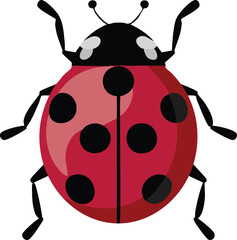Detailed red ladybug illustration for spring and summer seasonal nature and environment awareness design concepts isolated on white background