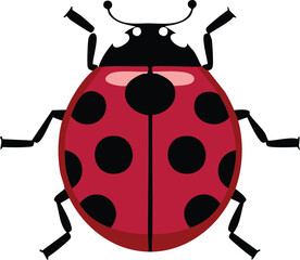 Red ladybug beetle vector illustration for nature education and garden insect pest control design concepts isolated on a white background