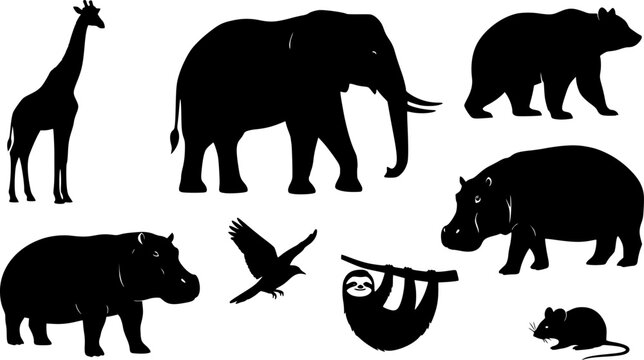 Animal silhouette vector set, wild zoo animals collection including giraffe, elephant, bear, hippo, sloth, bird, mouse, decorative wildlife design illustration