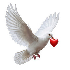 White dove flying with red heart in beak isolated on transparent background