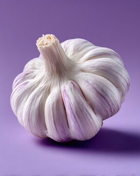 Closeup of garlic bulb on soft lavender background