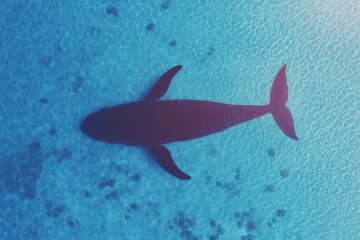 Obraz premium Minimalist flat design of a big whale in oceanic blue waters