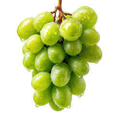 Lustrous green grapes on a stem, water droplets cling to the fruit