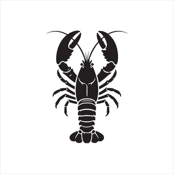 vector illustration of a black spider, Lobster Silhouette Icon on White Background. Vector - Vector