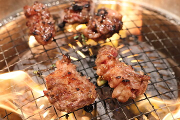 黒毛和牛焼肉（中落ちカルビ）