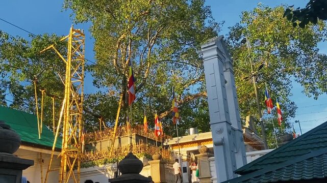 Jaya Sri Maha Bodhiya sacred fig tree at Anuradhapura Sri Lanka Buddhist heritage site