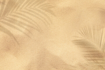 Golden sand with shadow of palm leaves, top view. Summer time © New Africa