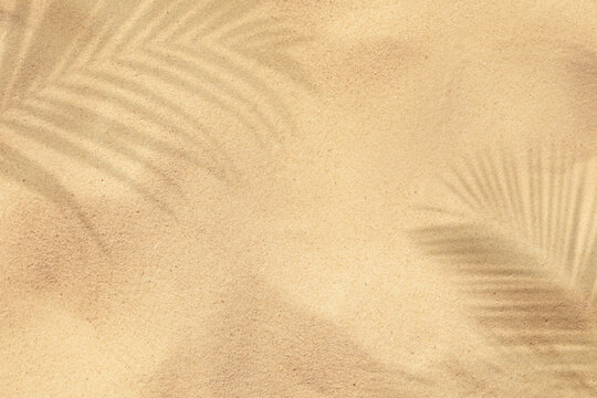 Golden sand with shadow of palm leaves, top view. Summer time