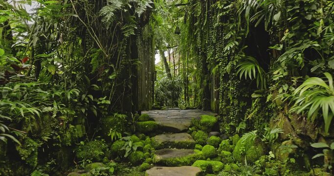 Mossy stepping stones winding through a lush green tropical jungle garden in Bali, creating a serene and peaceful pathway surrounded by dense foliage and natural arch window. Nature background