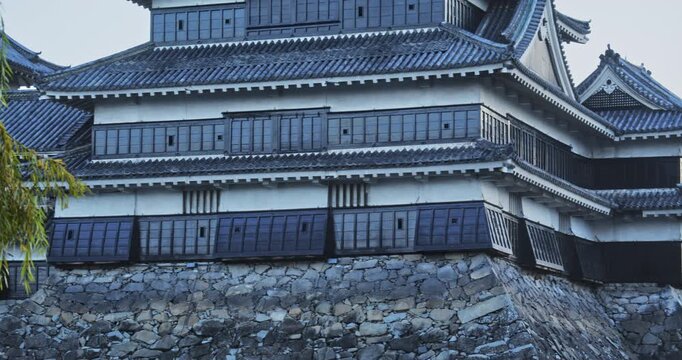 Panning shot across 16th century Matsumoto castle near autumn trees, morning