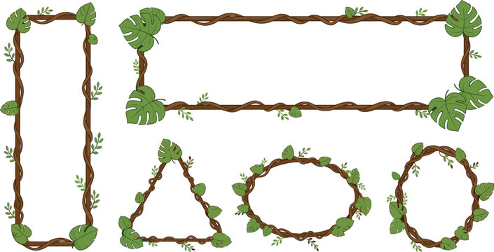 Wooden vine and monstera leaf frames vector set for natural tropical border and banner design