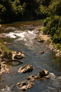 Rapids on the Rai River in Marlborough, New Zealand.