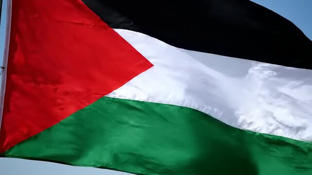 Palestinian Flag Waving in the Wind.