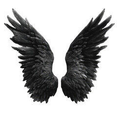 Dark, outstretched wings on a transparent background, intricate feather detail