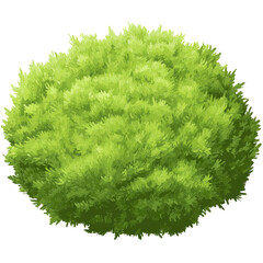 Round, leafy green bush or shrub illustration with gradient shading
