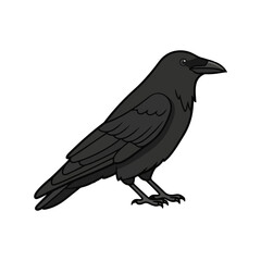 Fototapeta premium Cartoon Black Crow or Raven Bird Vector Illustration