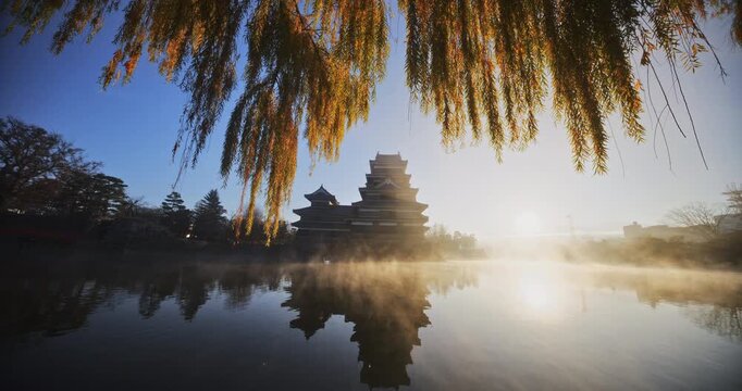 Cinematic tilt down from autumn tree to ancient Matsumoto castle on misty pond