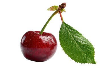 Single deep red cherry with stem and leaf, isolated on a dark background