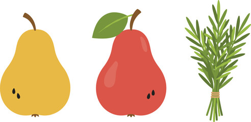 Obraz premium Pear Fruit and Fresh Rosemary Herb Illustration Set