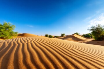 Fototapeta premium Serene Sand Dunes with Fresh Traces of Movement Under a Clear Sky