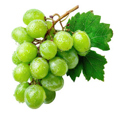 Cluster of fresh, translucent green grapes with a leafy stem