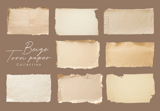 Beige Torn Paper Template Element Design Set