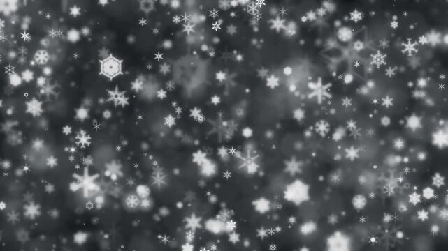 Winter scene of glowing snowflakes sparkling on black background. Snowflake backgrounds with twinkling snow flakes creating cold wintry atmosphere. Soft snowflakes for winter or Christmas background.