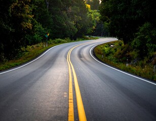 Obraz premium Winding asphalt road through a verdant, wooded area, bathed in warm sunlight