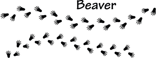 Beaver Footprint Vector EPS, Beaver Footprint Silhouette EPS © Sejal