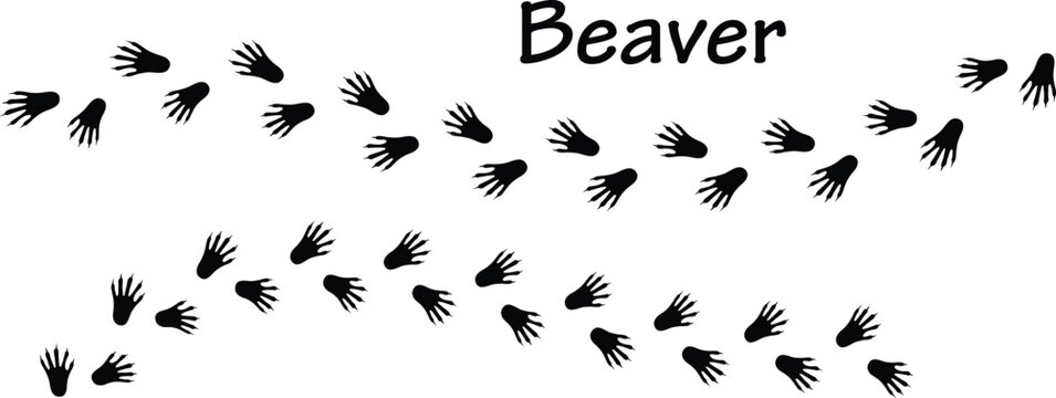 Beaver Footprint Vector EPS, Beaver Footprint Silhouette EPS