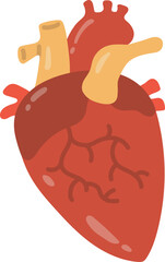 Illustration of a Human Heart in Artistic Style